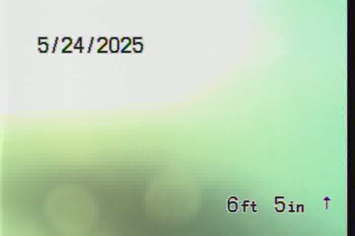 Frame
